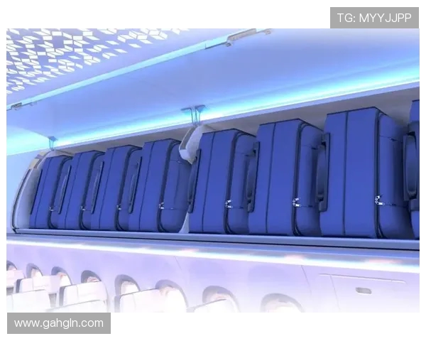 飞机客舱内部空气的流体仿真